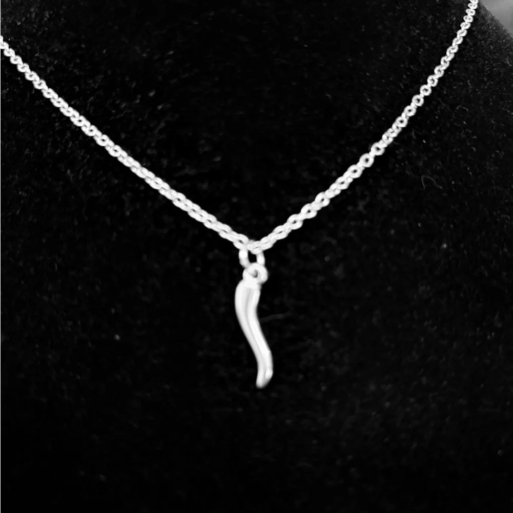 Youth/Child Italian Horn stainless steel necklace